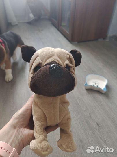 Интерактивная собака