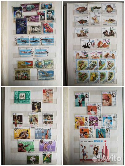 Альбом и 3 кляссера с почтовыми марками продажа