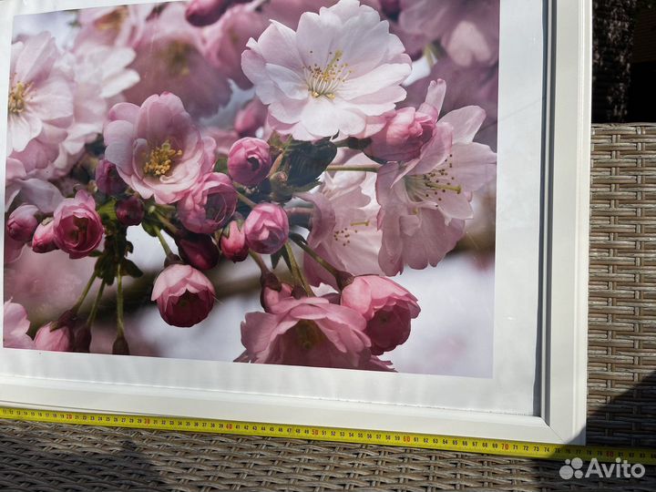 Картина постер IKEA икея в раме