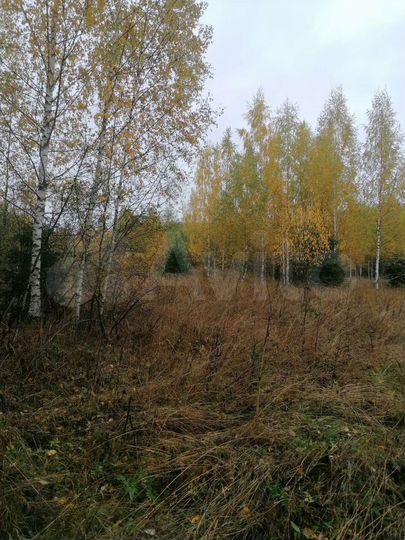 Участок 5,3 сот. (ИЖС)