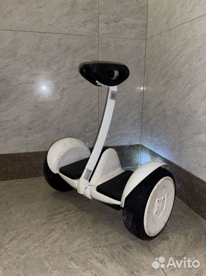 Гироскутер segway