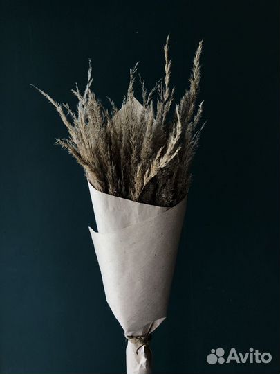 Букет из сухоцветов