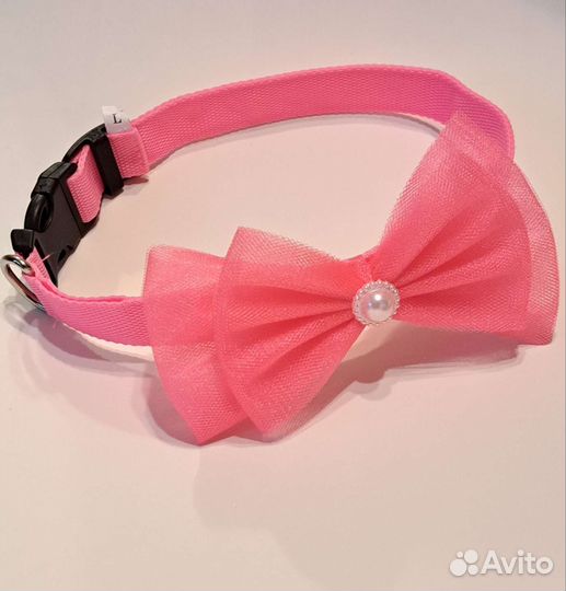 Аксессуары для собак