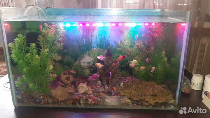 Аквариум