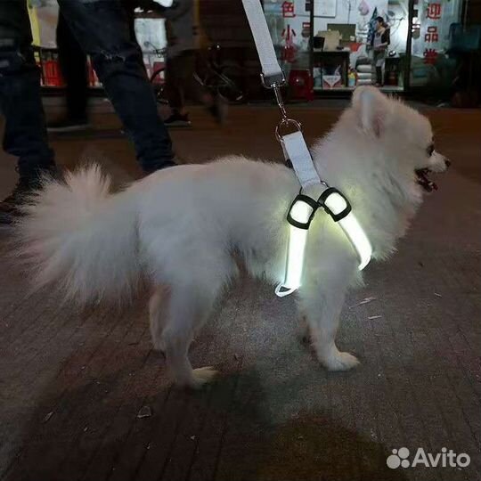 Шлейка с подсветкой новая на собак средних пород