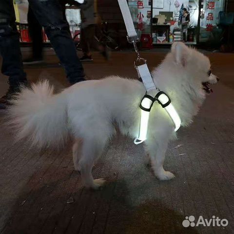 Шлейка с подсветкой новая на собак средних пород