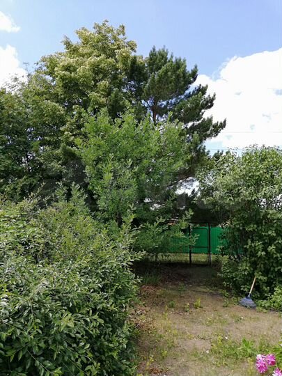 Участок 10 сот. (СНТ, ДНП)