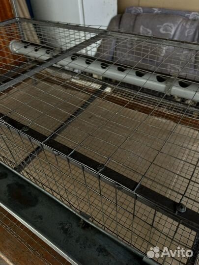 Клетки для перепелов б/у