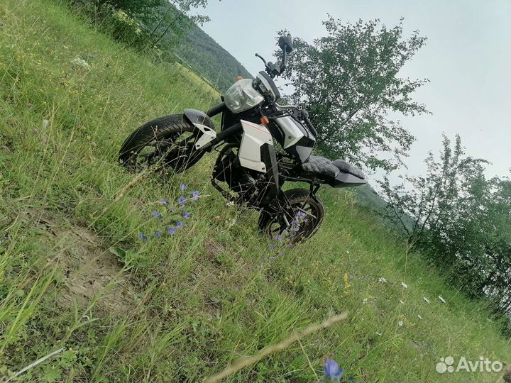 Ирбис wy250-GR