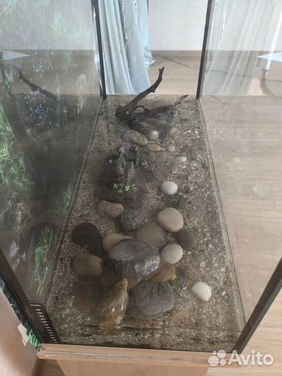 Аквариум 100 литров