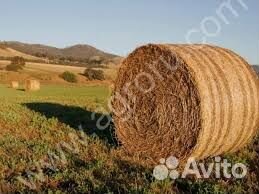 Сено в тюках