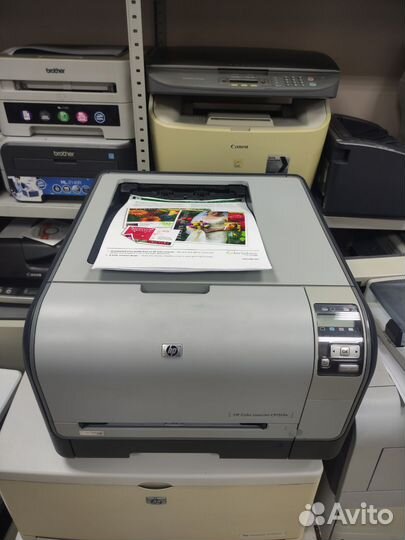 Принтер лазерный цветной HP 1515n/гарантия