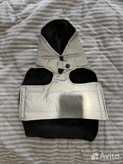 Толстовка для собак