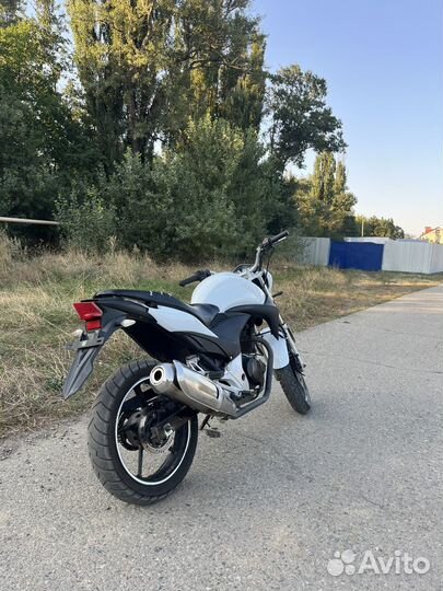 Stels flex 250