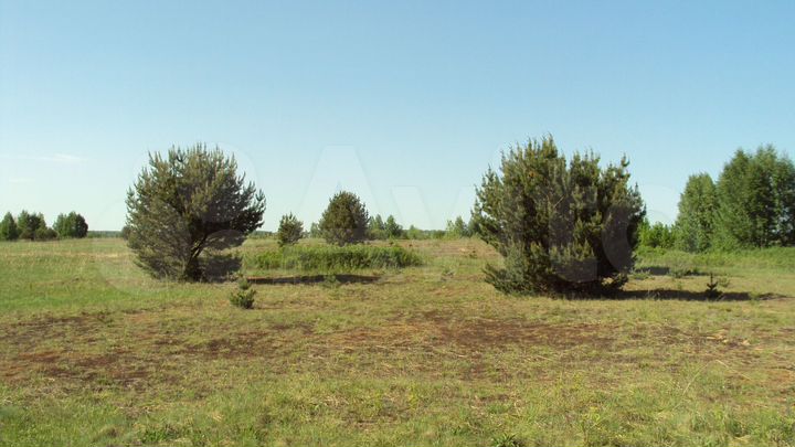 Участок 1169,22 га (СНТ, ДНП)