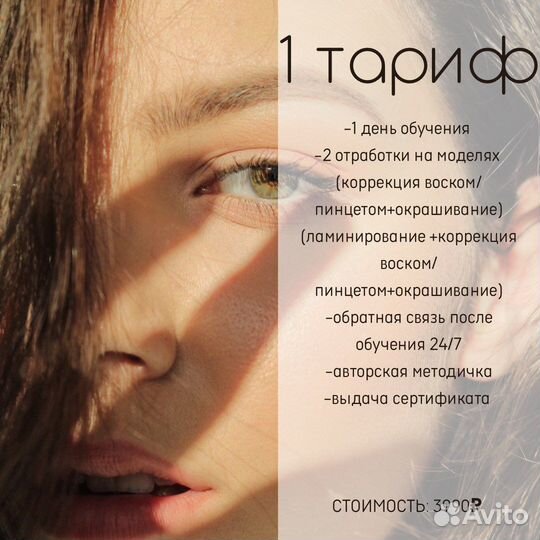 Обучение курс бровист