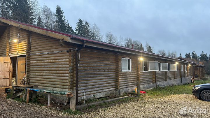 Конюх с проживанием сегодня