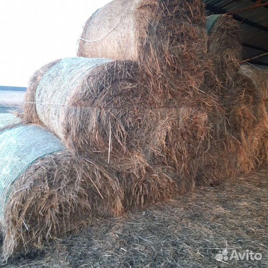 Сено в тюках