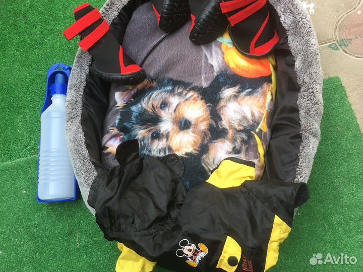 Лежак для собаки, тапки, куртка