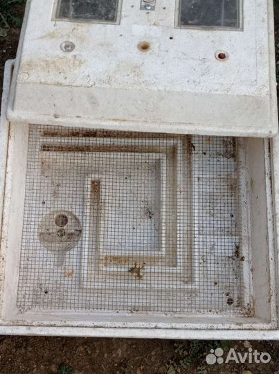 Инкубатор для яиц бу