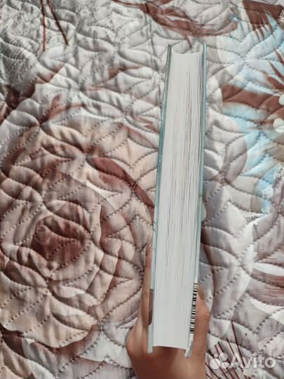 Луиза Мэй Олкот 