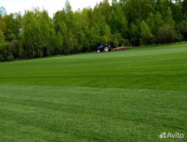 Рулонный газон