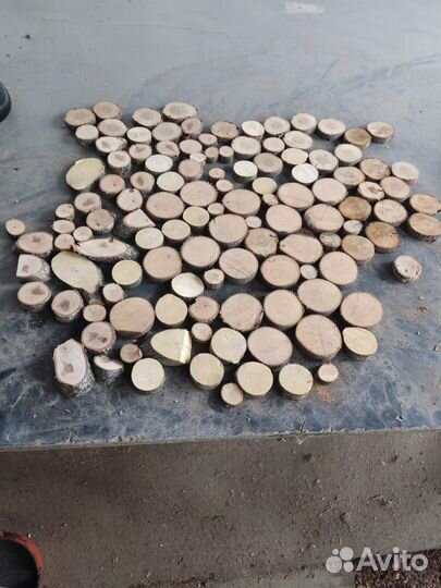 Спилы дерева