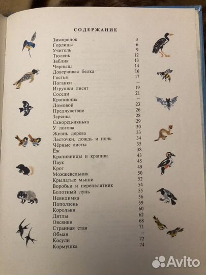 Г. Корольков доверчивая белка 1996 г