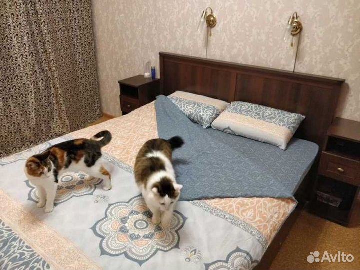 Спальня Шерлок