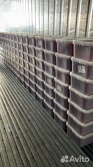 Икра красная, икра щуки, рыба сёмга