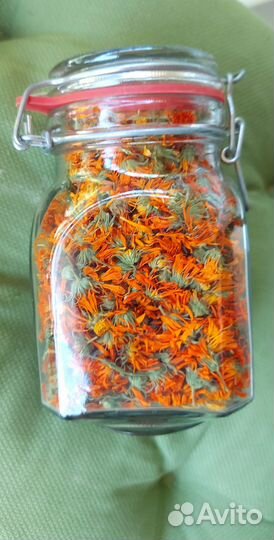 Календула сушеная. Соцветия календулы. Сбор 2023