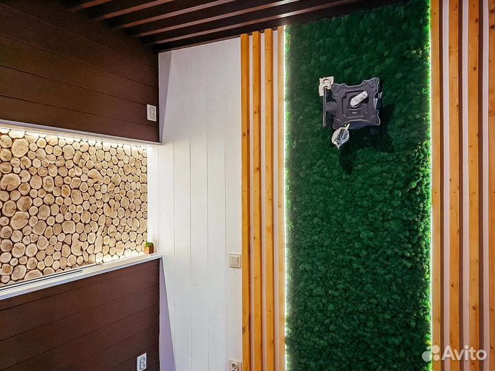 Стабилизированный мох