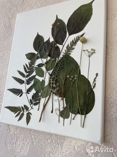 Картина из сухоцветов