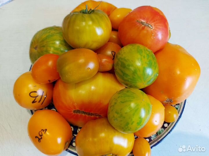Семена томатов коллекционные