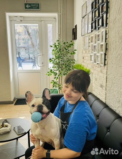 Груминг. Стрижка собак и кошек