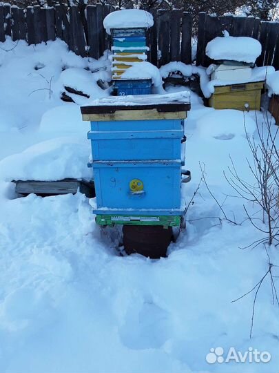 Продам ульи для пчел