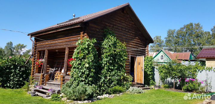 Девичий виноград