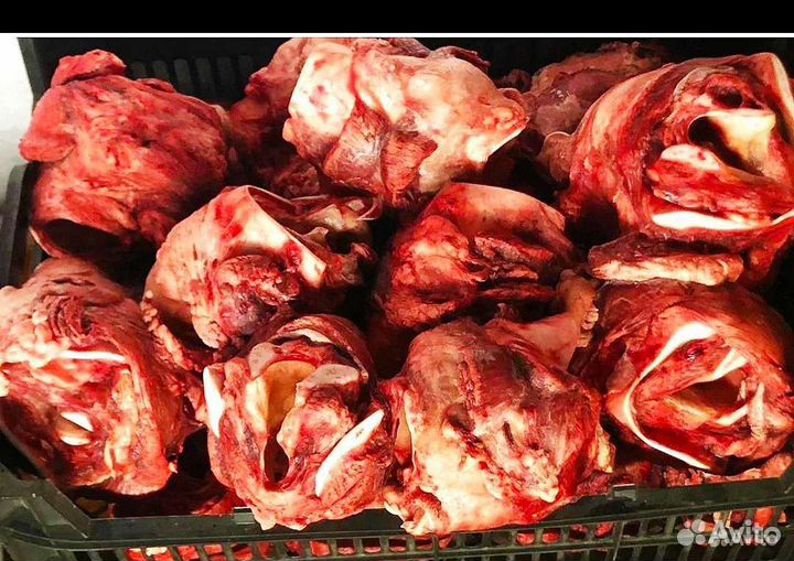 Мясо, субпродукты для животных