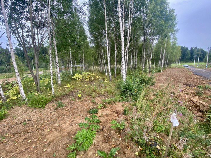 Участок 8,3 сот. (СНТ, ДНП)