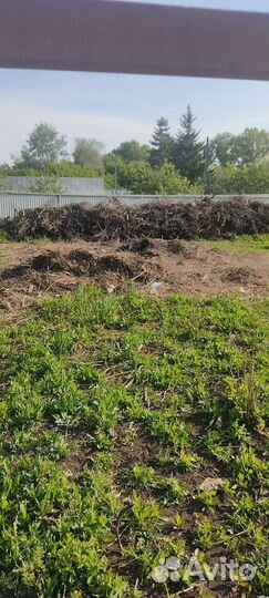 Ветки деревьев под дрова бесплатно самовывоз