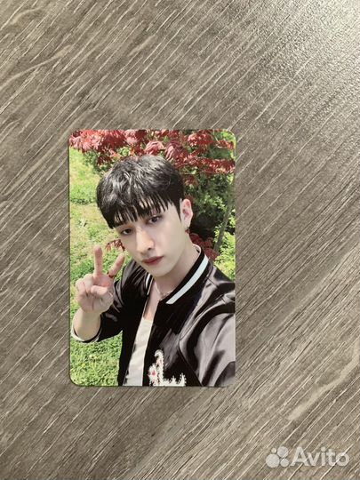 Коллекционирование