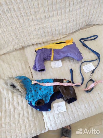 Одежда для маленьких собак