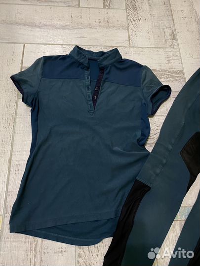 Поло и бриджи для конного спорта