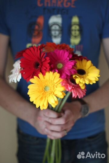 Букет из 9 крупных Гербер