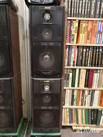 Колонки Вега 50ас 106