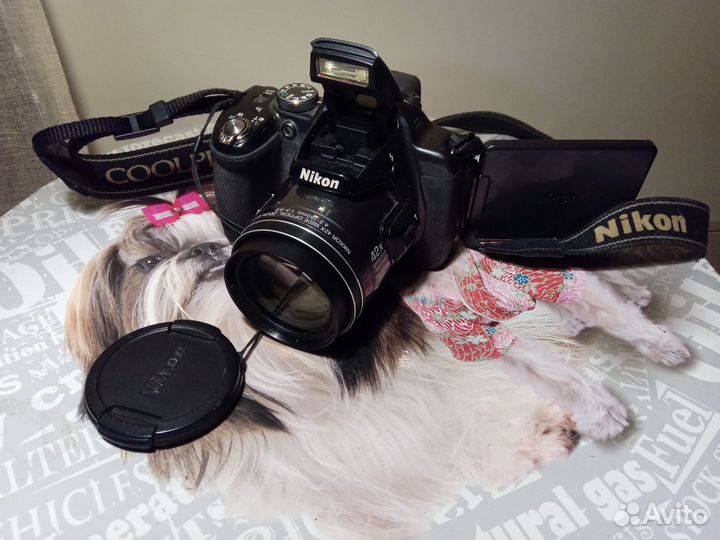 Nikon Coolpix p520