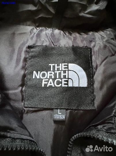 The north face