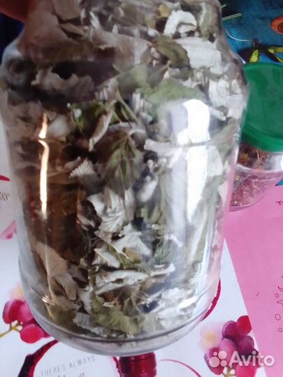 Лист малины сухой цена за весь