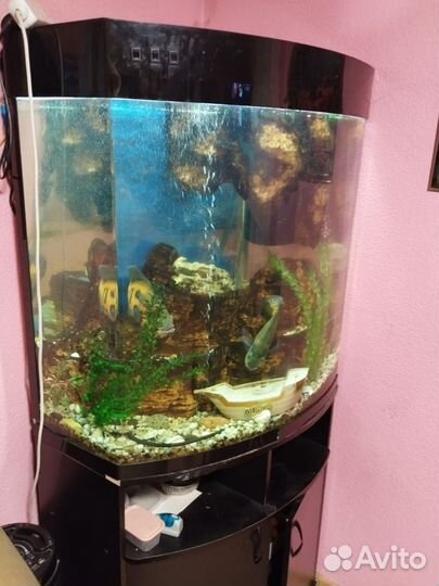 Акриловый Аквариум с тумбой