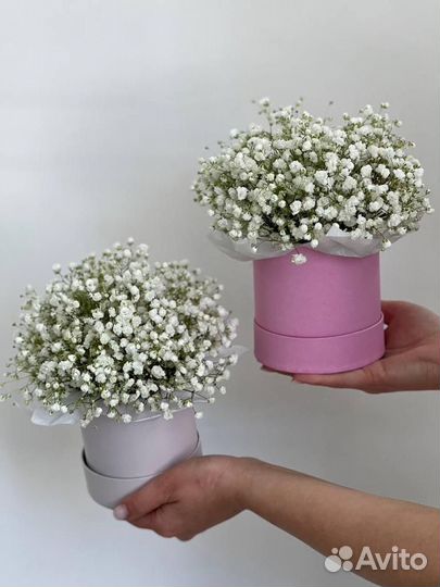 Букет из гипсофилы в коробке